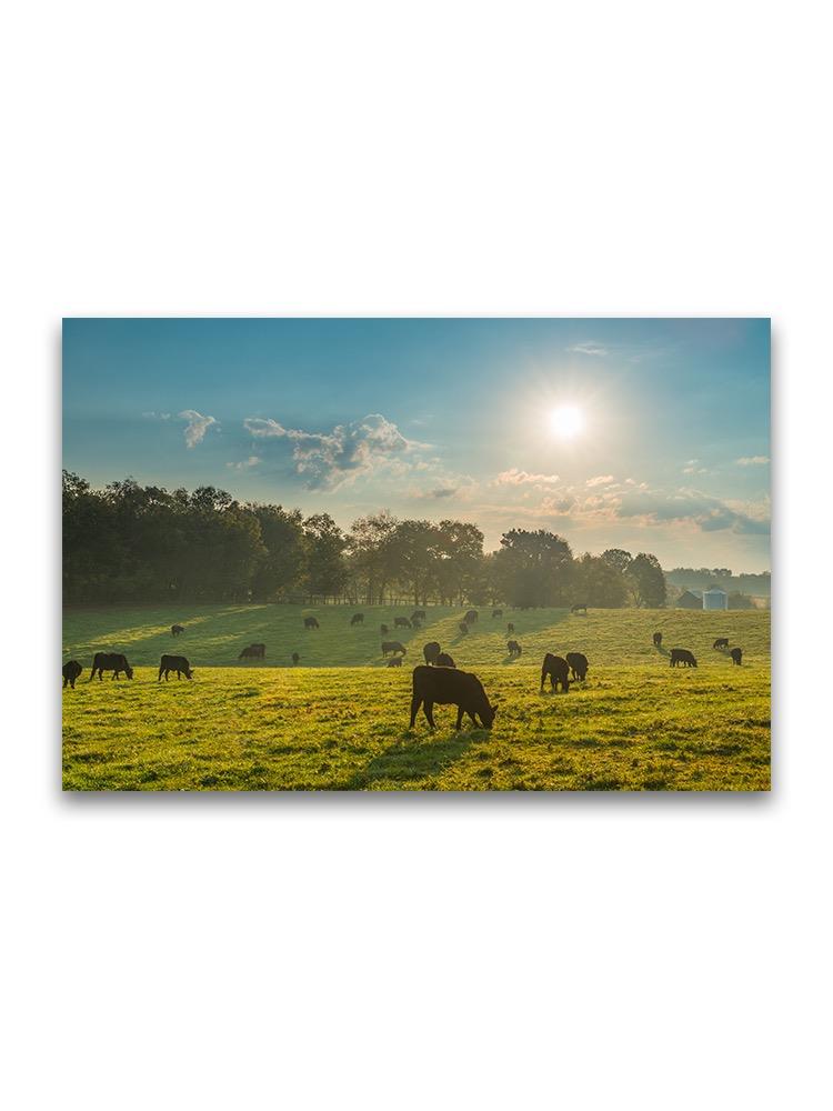 Beautiful Scenery Grazing Cows Poster -Image by Shutterstock