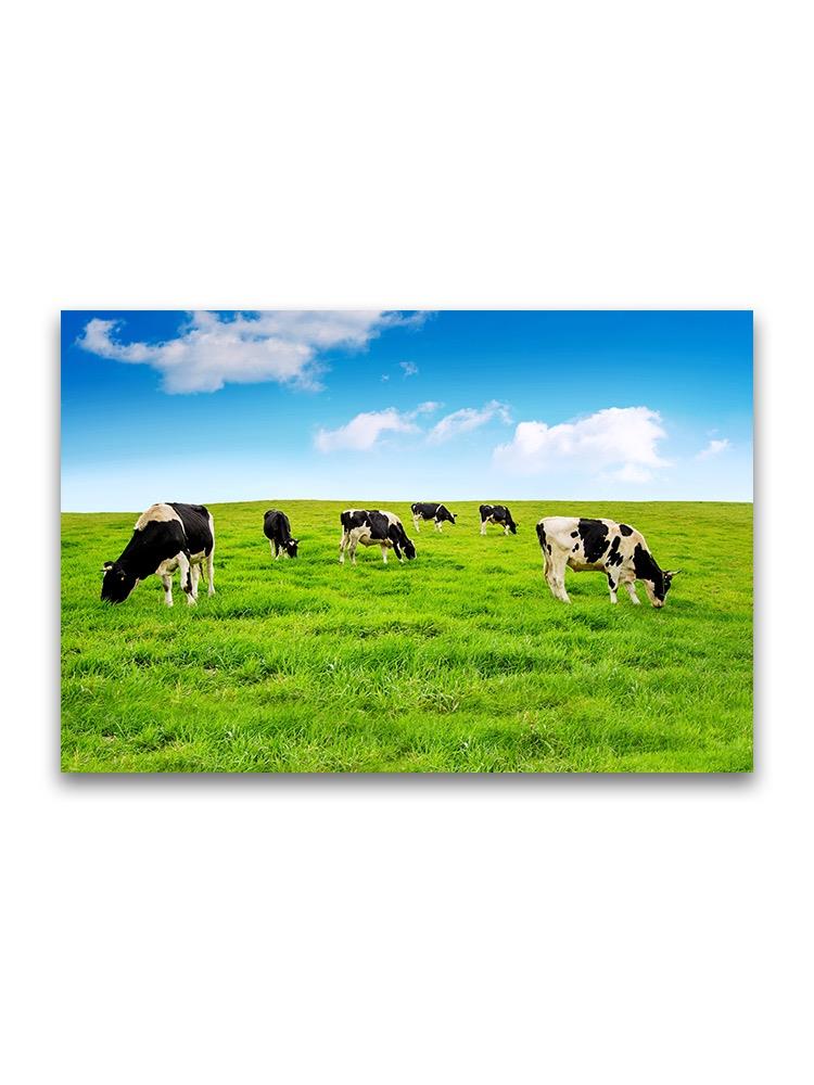 Cows On Green Grass Field  Poster -Image by Shutterstock