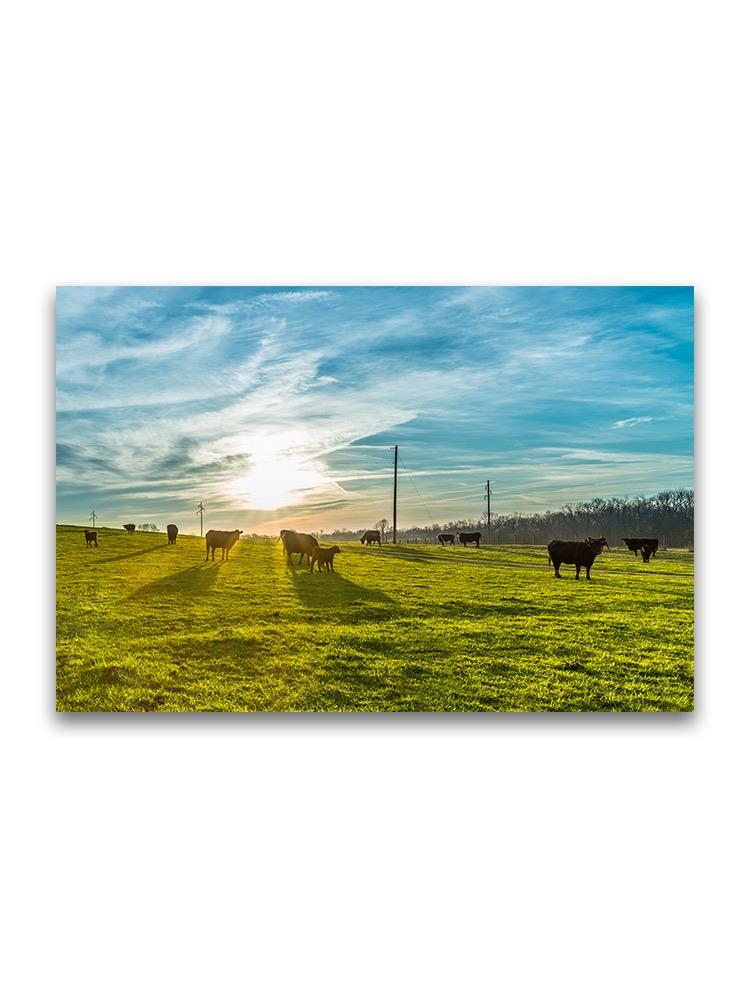 Morning Sunrise With Cows Poster -Image by Shutterstock