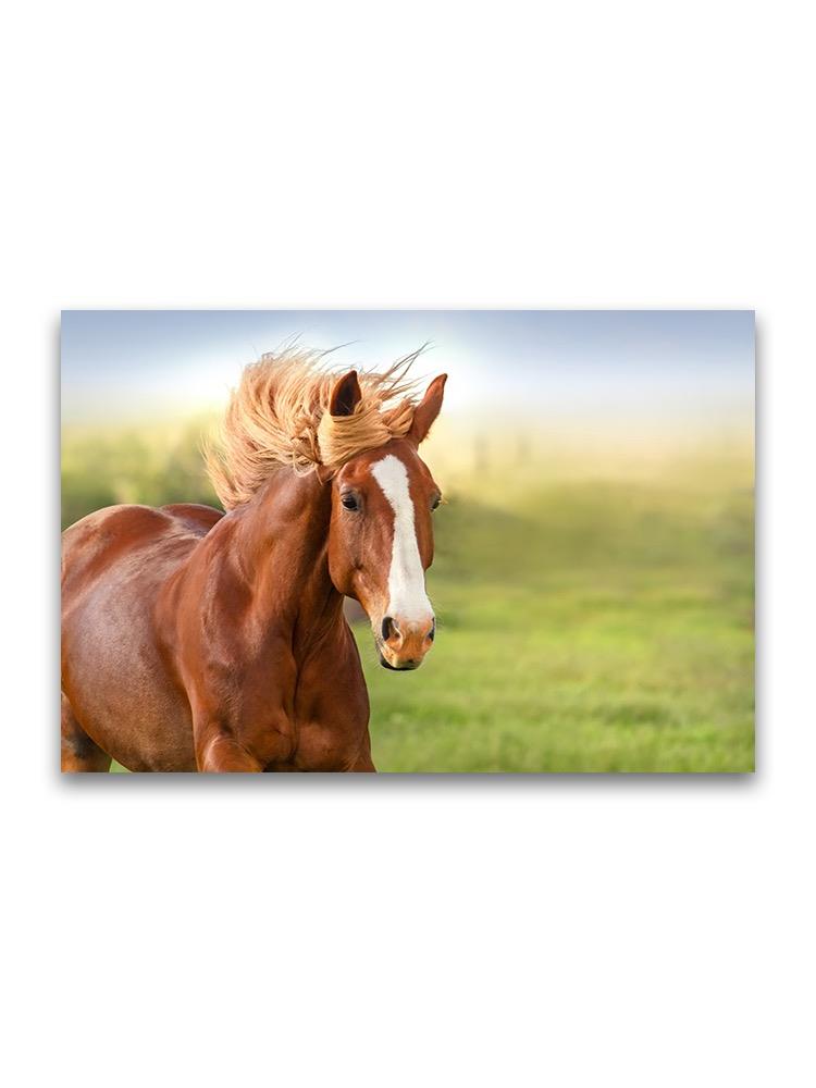 Beautiful Portrait Of Red Horse Poster -Image by Shutterstock