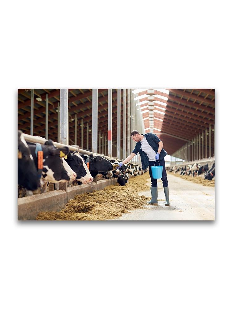 Young Farmer Feeding Cows Poster -Image by Shutterstock