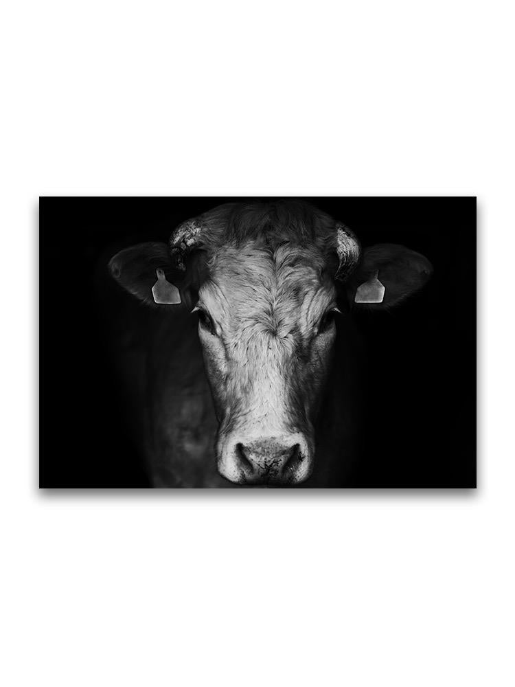 Cow Farm Close Up Portrait Poster -Image by Shutterstock