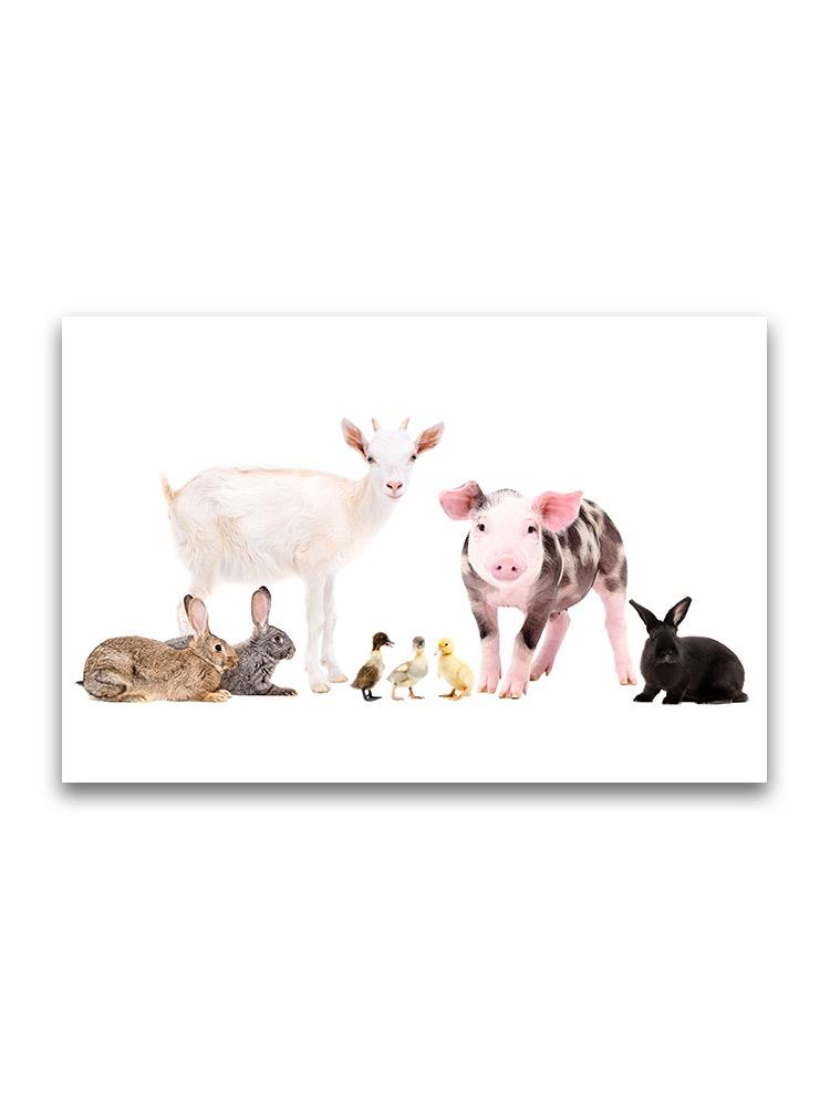 Group Of Cute Farm Animals Poster -Image by Shutterstock