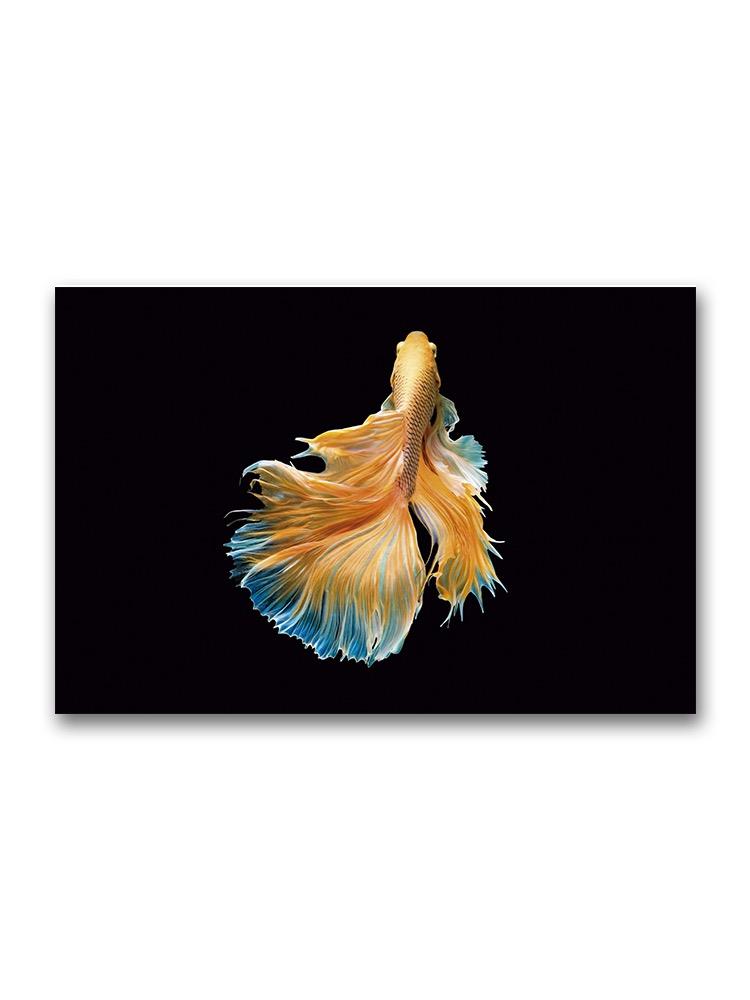 Movement Of Gold Betta Fish Poster -Image by Shutterstock