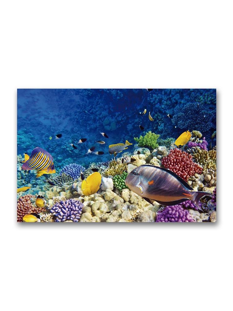 Amazing Colorful Coral Scenery Poster -Image by Shutterstock