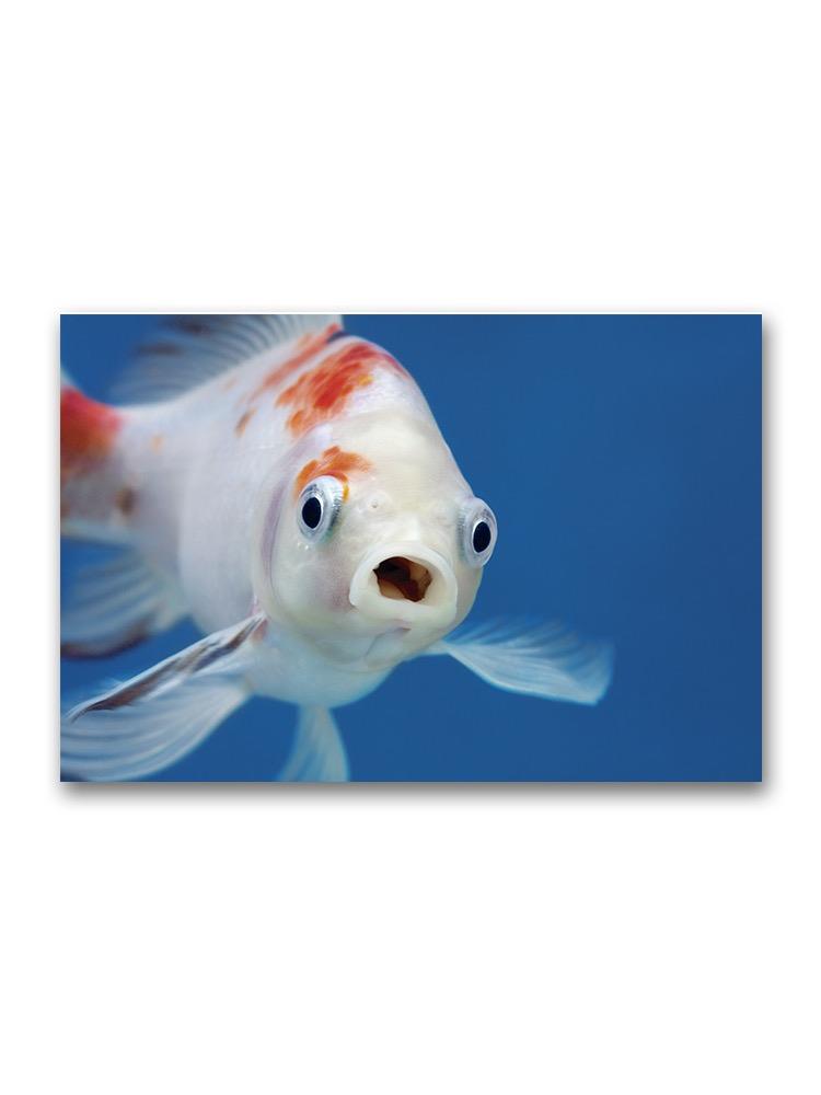 Fish With Big Mouth  Poster -Image by Shutterstock