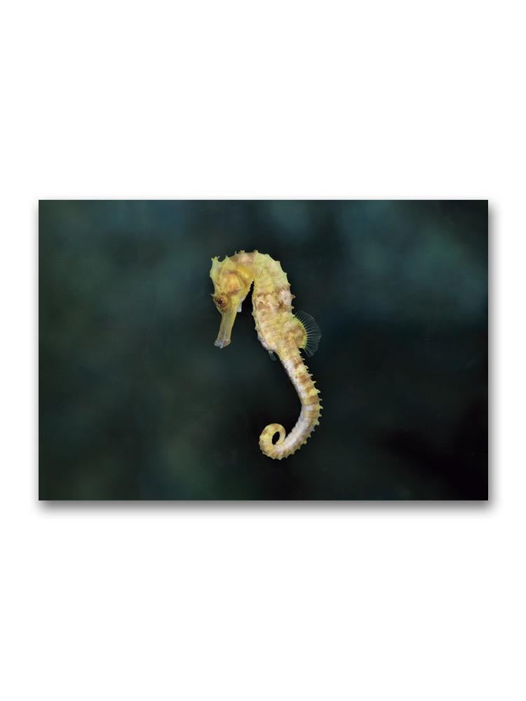 Incredible Portrait Of Seahorse Poster -Image by Shutterstock
