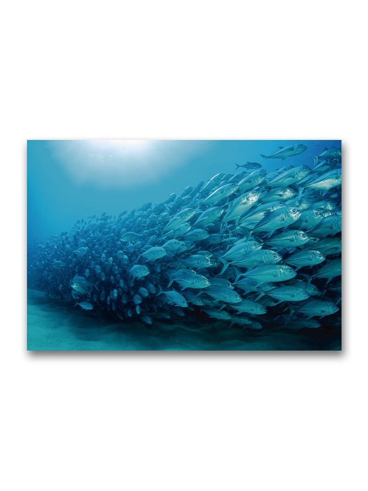 Big School Of Fish  Poster -Image by Shutterstock