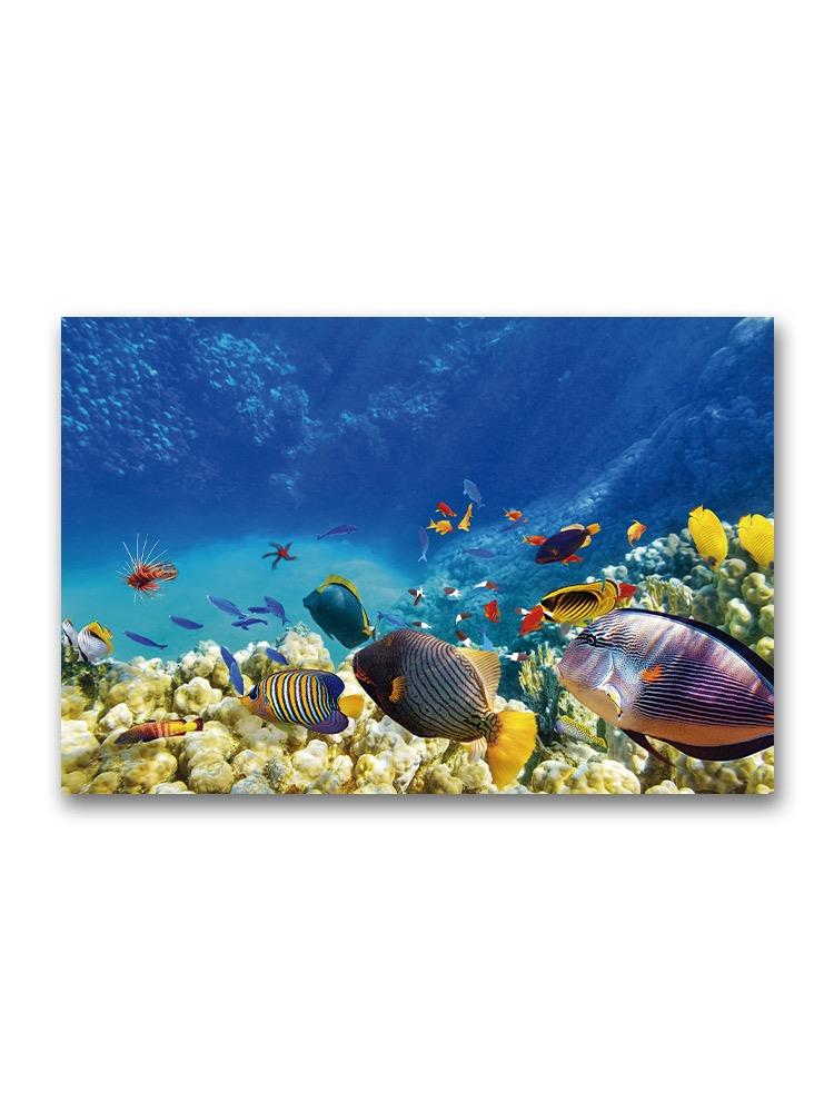Beautiful Underwater Landscape Poster -Image by Shutterstock