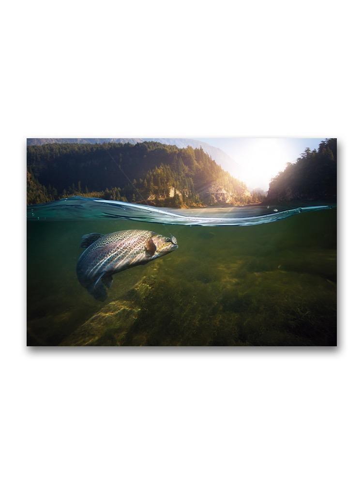 Incredible Portrait Of Fish  Poster -Image by Shutterstock