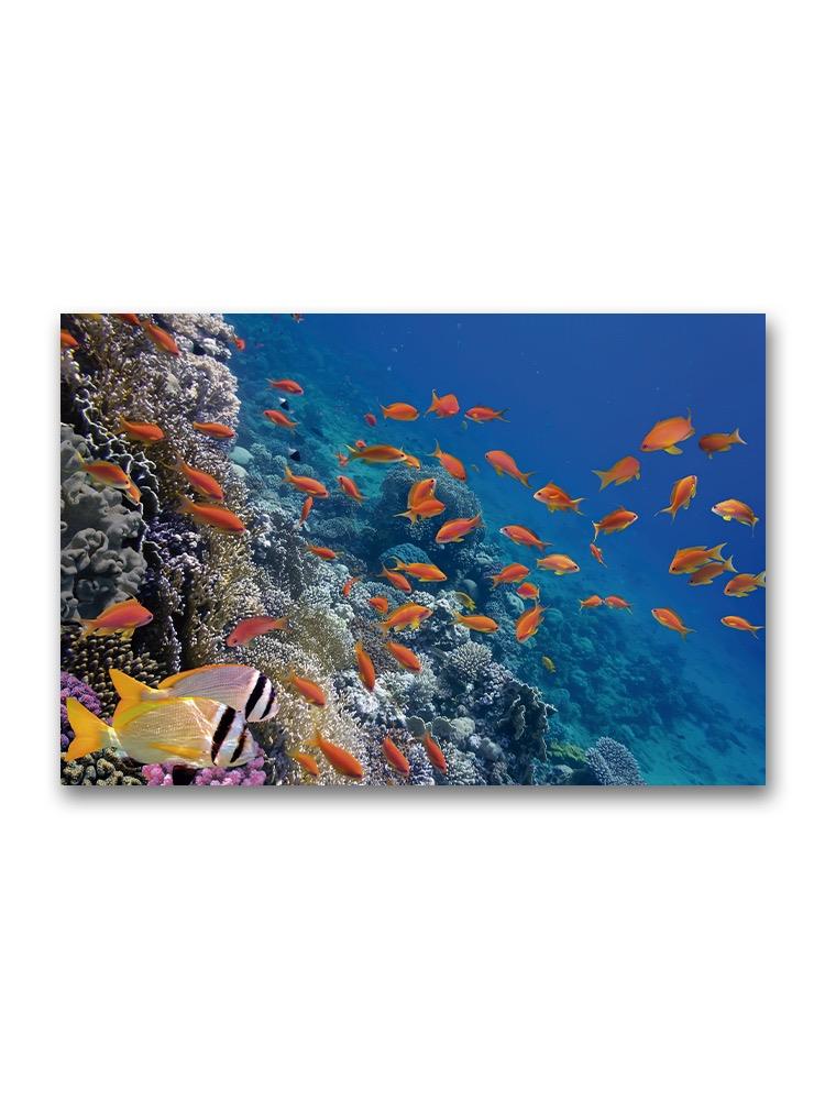 Beautiful Fish Coral Landscape Poster -Image by Shutterstock