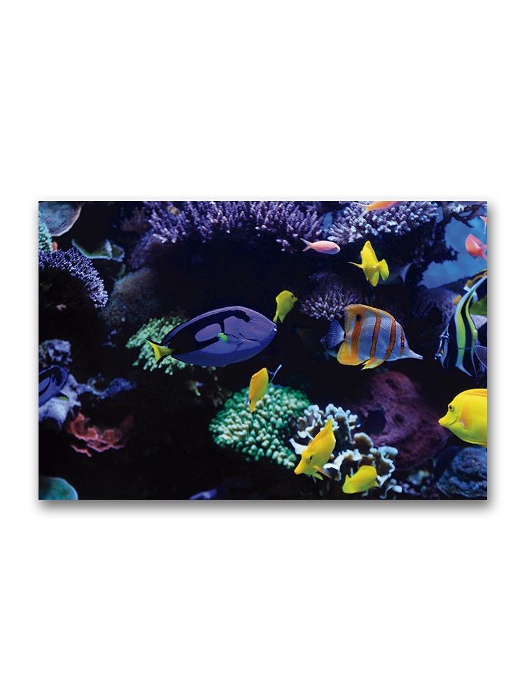 Incredible Dark Coral Reef Scene Poster -Image by Shutterstock