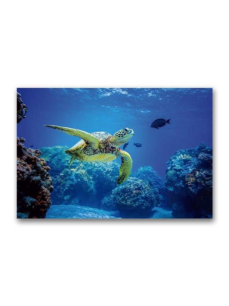 Sea Turtle Swimming In Ocean Poster -Image by Shutterstock