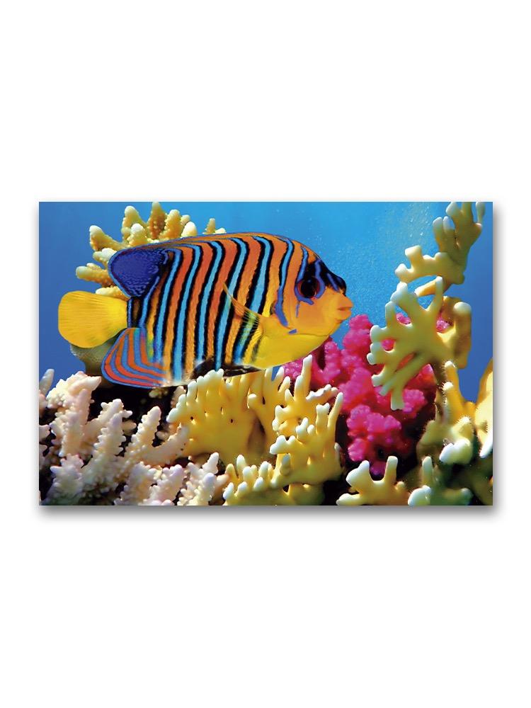 Beautiful Colorful Bright Fish  Poster -Image by Shutterstock