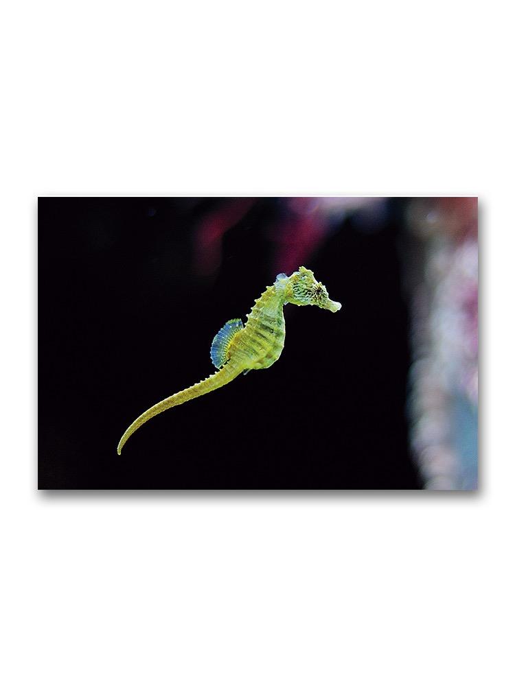 Green Seahorse Swimming Poster -Image by Shutterstock