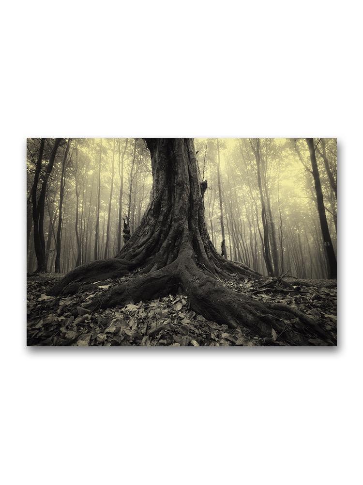 Tree Roots Forest Poster -Image by Shutterstock