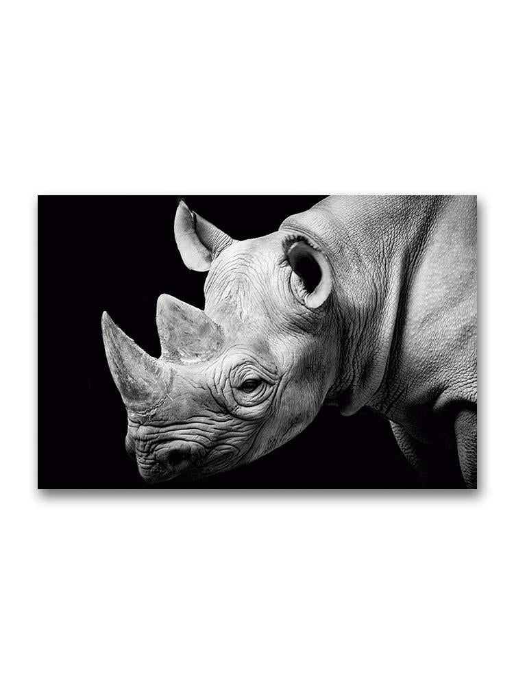 Portrait Of A Rhino Poster -Image by Shutterstock