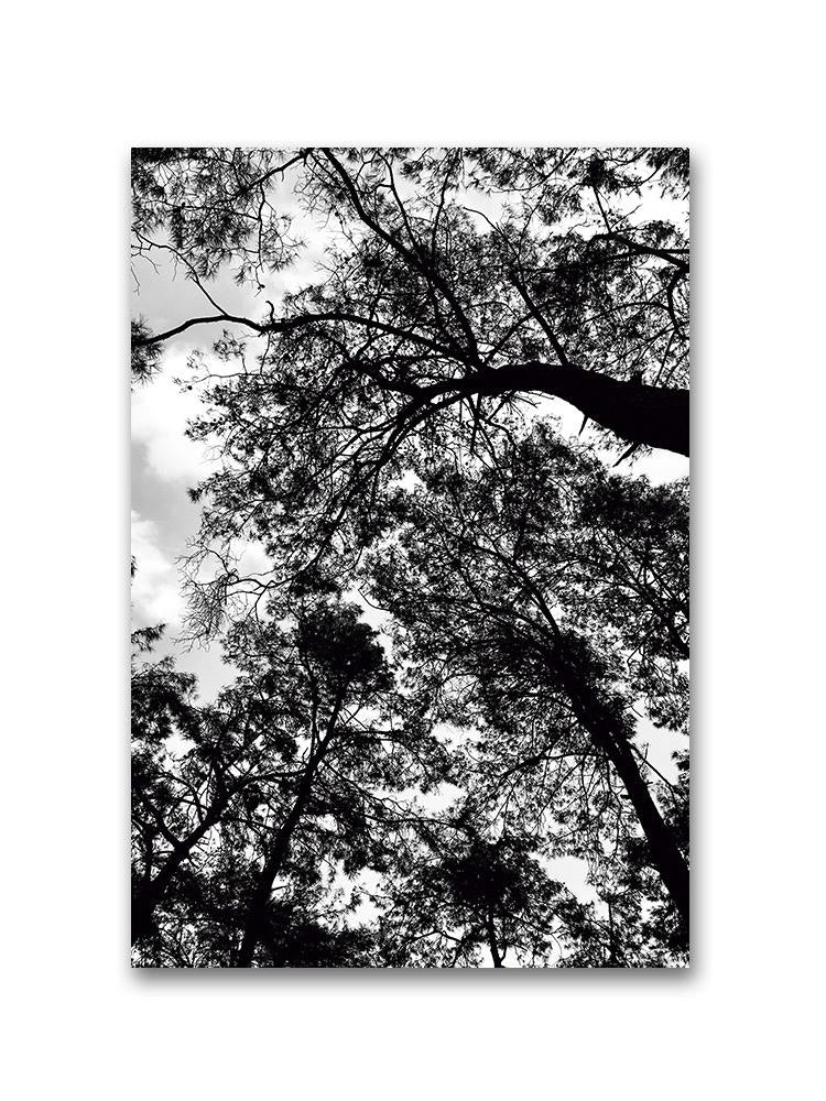 Cloudy Sky With Trees Poster -Image by Shutterstock