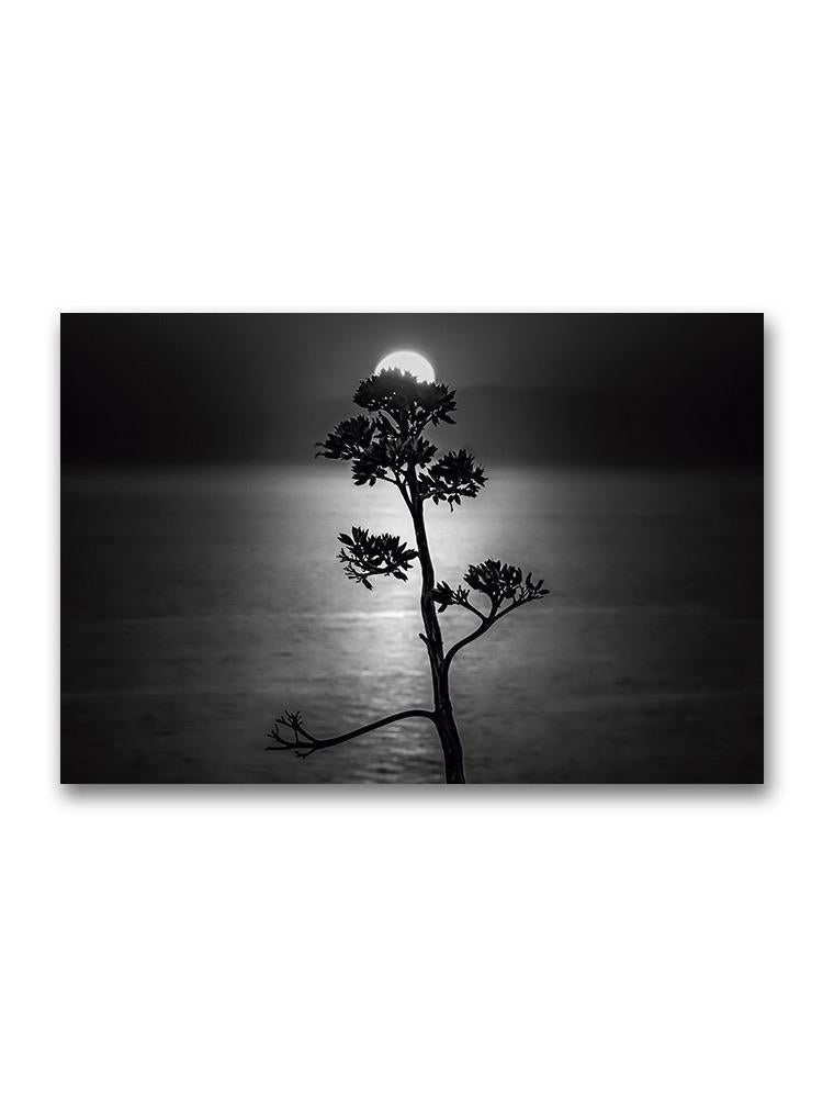 A Tree And The Sun Over The Sea Poster -Image by Shutterstock