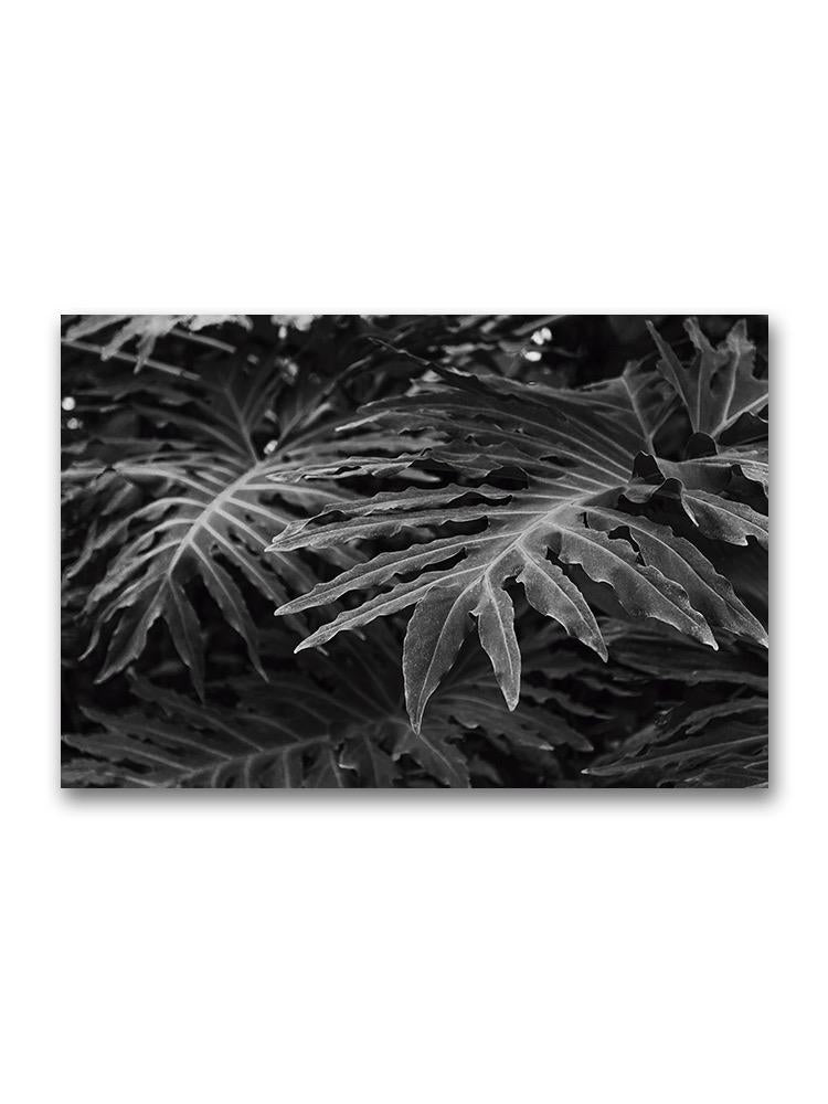 Exotic Leaves Poster -Image by Shutterstock