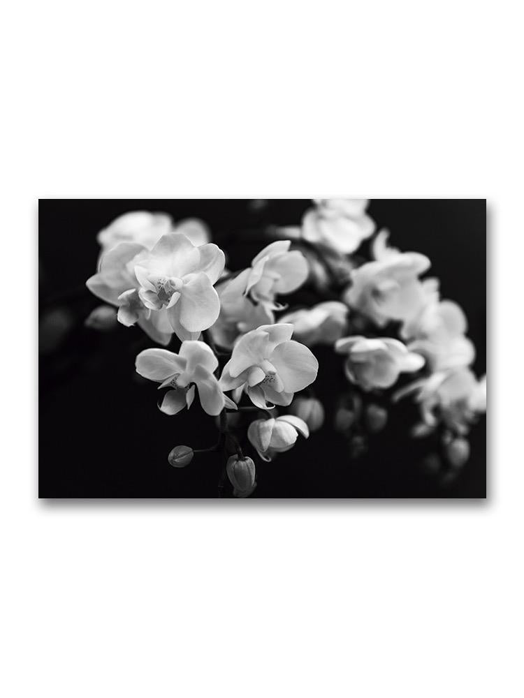 Orchid Flowers Portrait Poster -Image by Shutterstock