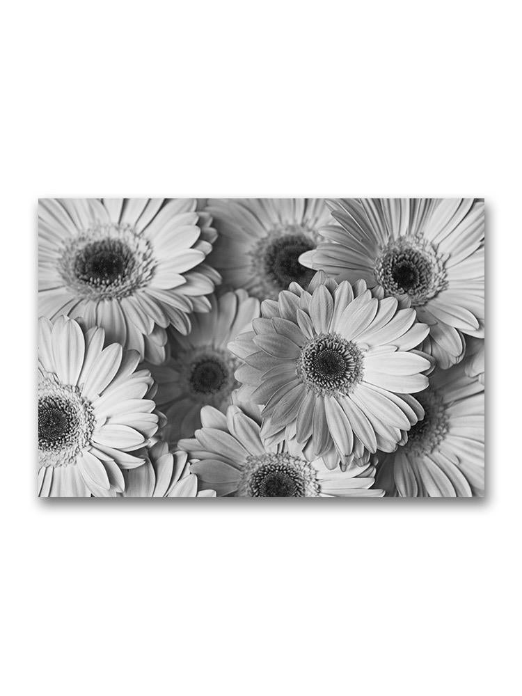 Floral Gerberas Poster -Image by Shutterstock