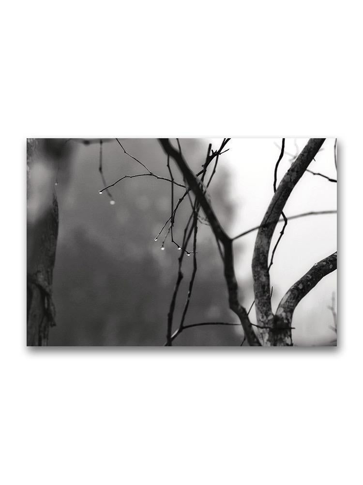 Dry Tree Branches With Dew Drops Poster -Image by Shutterstock