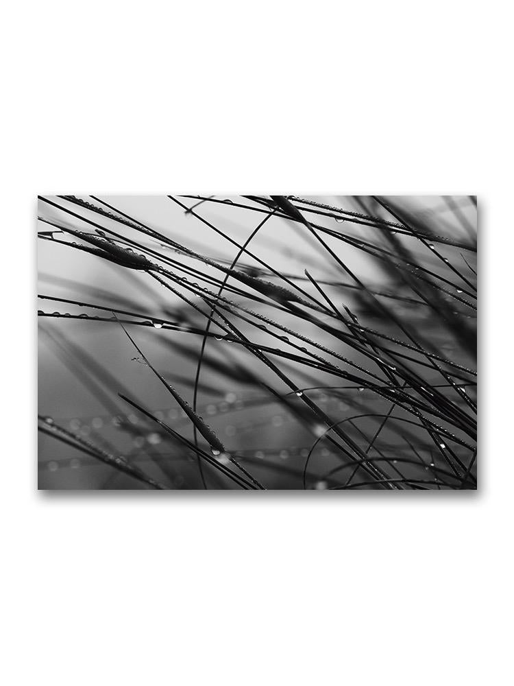 Bush Leaves With Dew Drops Poster -Image by Shutterstock