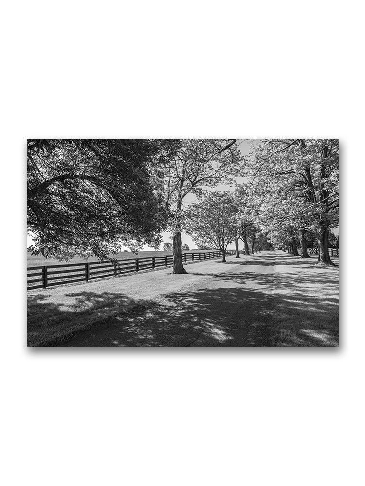 Tree Orchard Driveway Poster -Image by Shutterstock