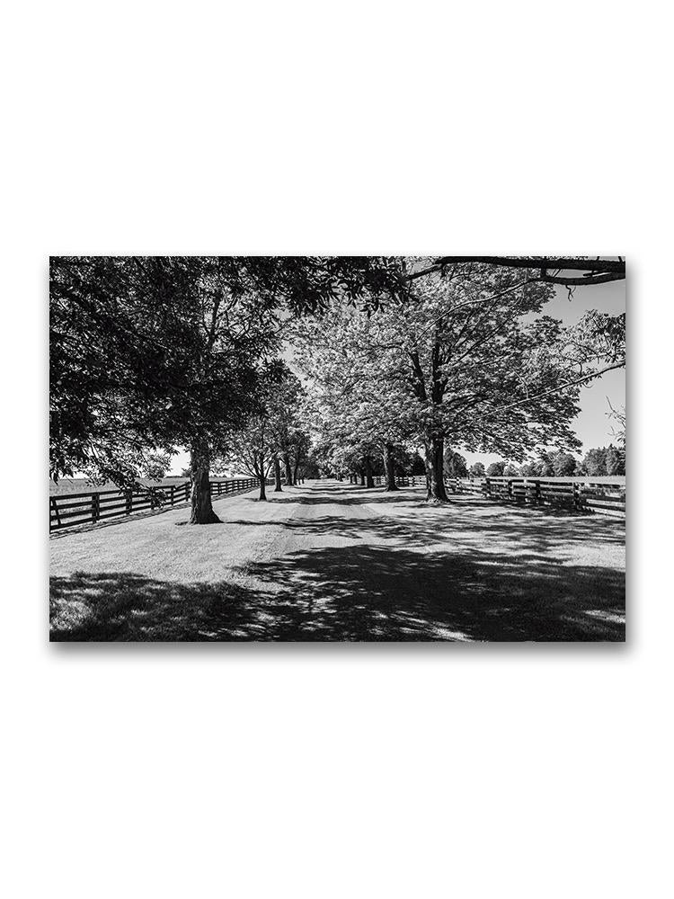 Tree Orchard And Driveway Poster -Image by Shutterstock