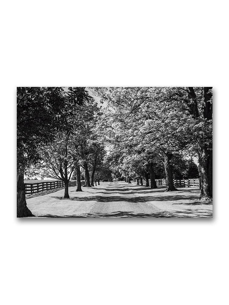 Dirve Way With Tree Orchard Poster -Image by Shutterstock