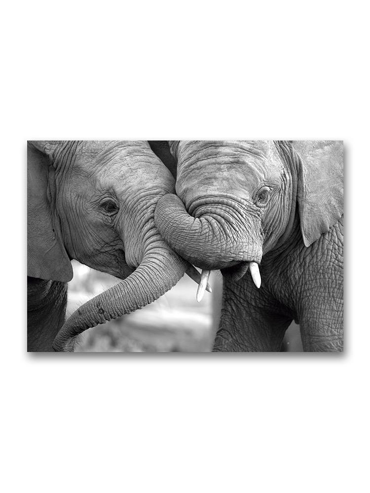 Two Cute Elephants Poster -Image by Shutterstock