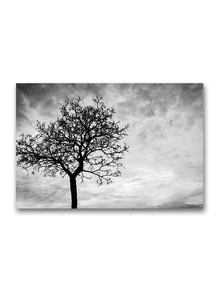 Dead Tree Silhouette Poster -Image by Shutterstock