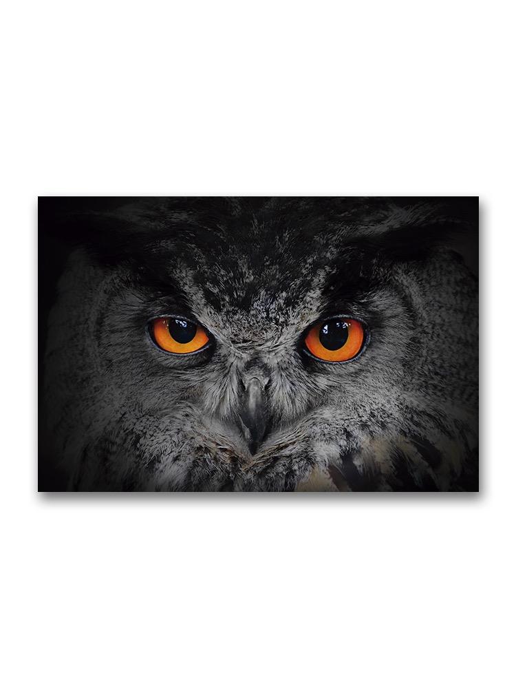 Fierce Owl Eyes Poster -Image by Shutterstock