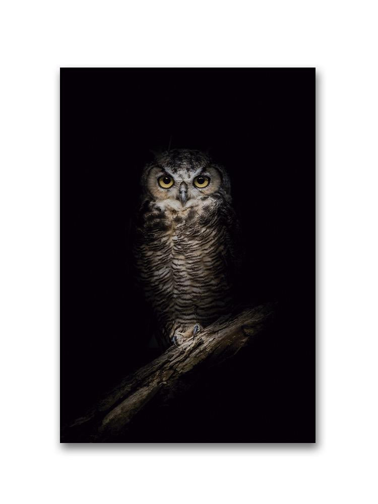 Wise Owl In The Night Poster -Image by Shutterstock
