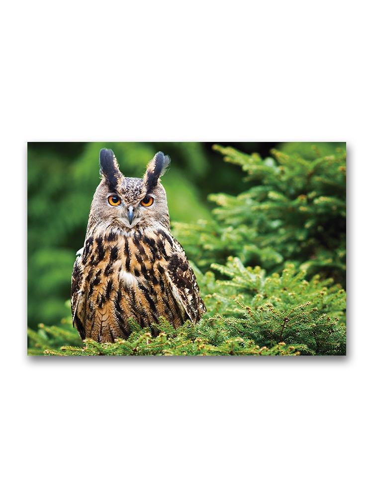 Eagle Owl Poster -Image by Shutterstock