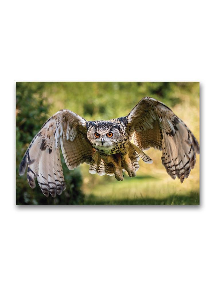 A Beautiful, Eagle Owl Flying Poster -Image by Shutterstock