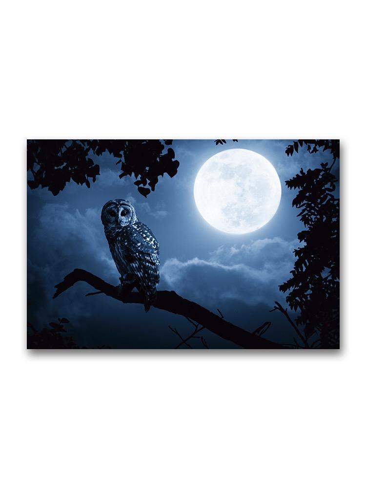 An Owl In A Quiet Night Poster -Image by Shutterstock