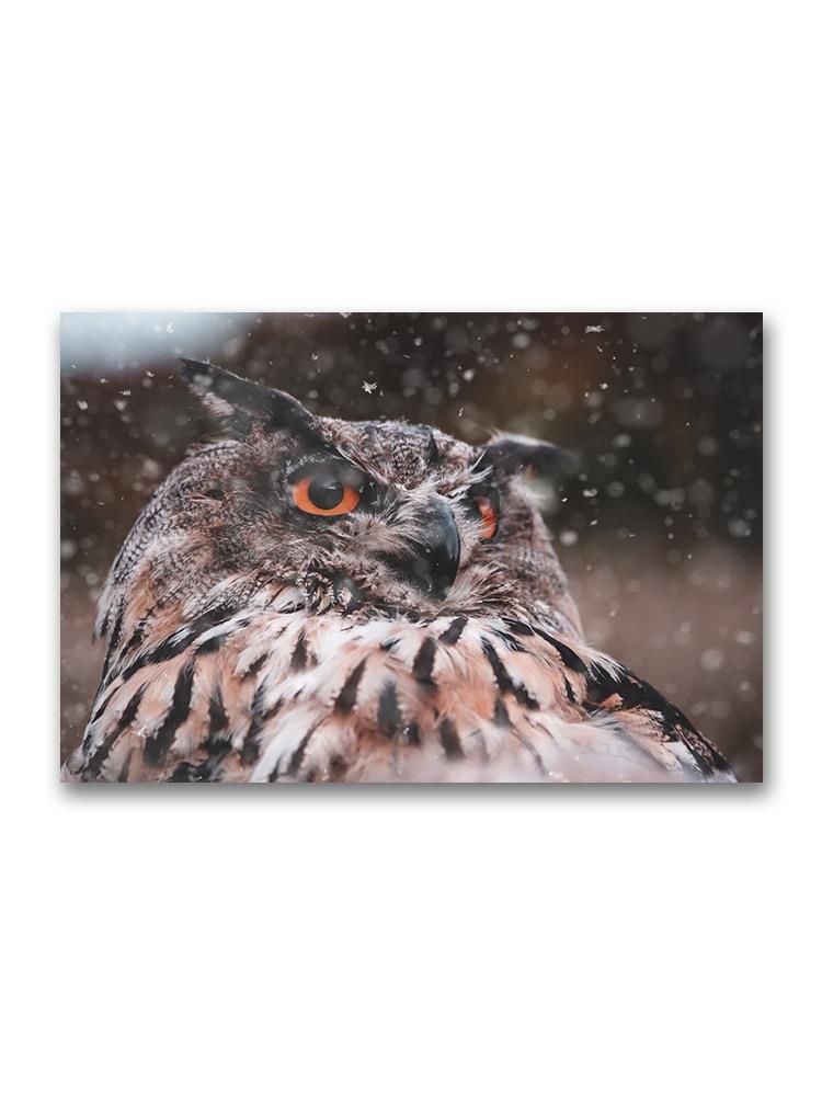 An Eurasian Eagle-owl Poster -Image by Shutterstock