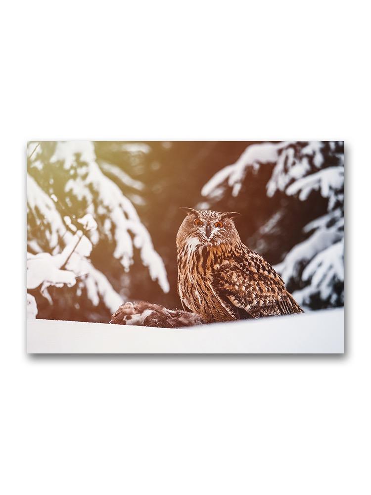 Eagle Owl In Snowy Forest Poster -Image by Shutterstock