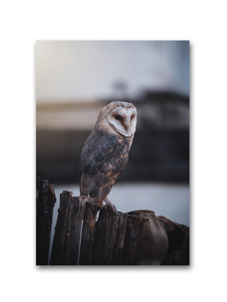 Owl Sitting On A Wooden Fence Poster -Image by Shutterstock