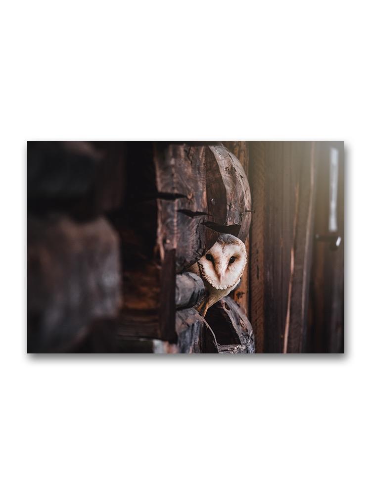 Owl Sitting On Fence Poster -Image by Shutterstock