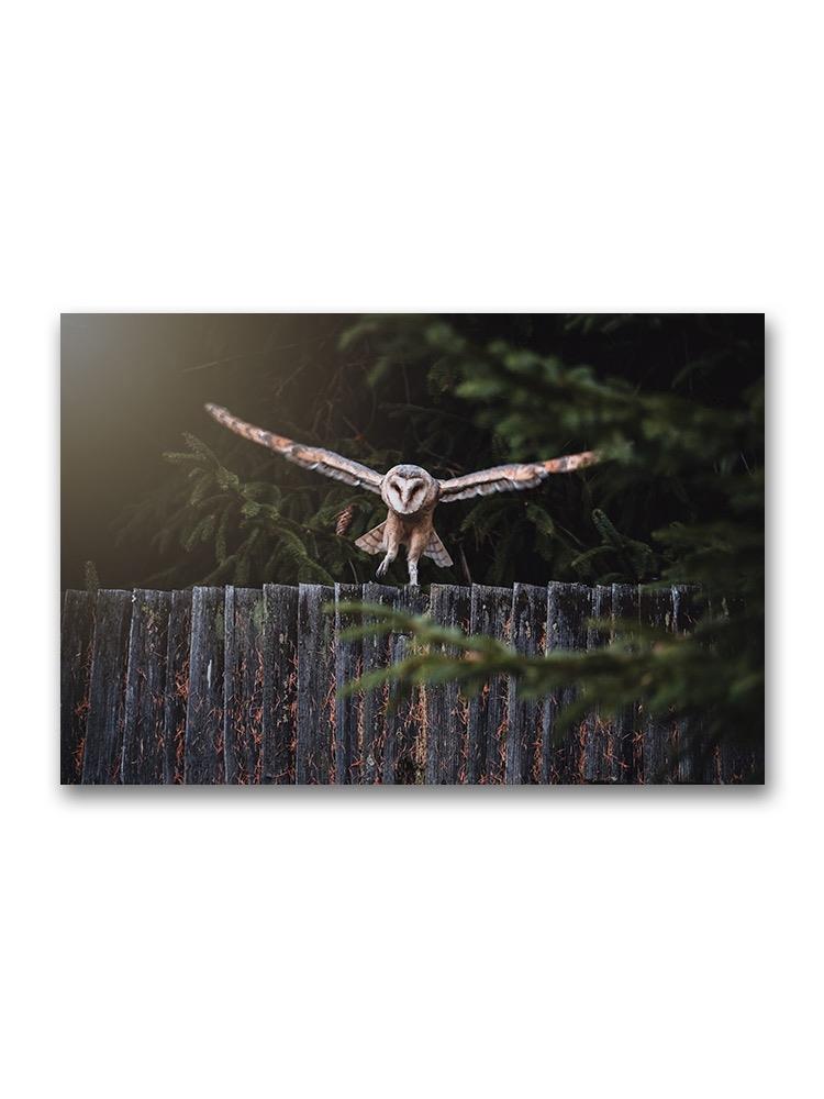 Owl Landing On A Fence Poster -Image by Shutterstock