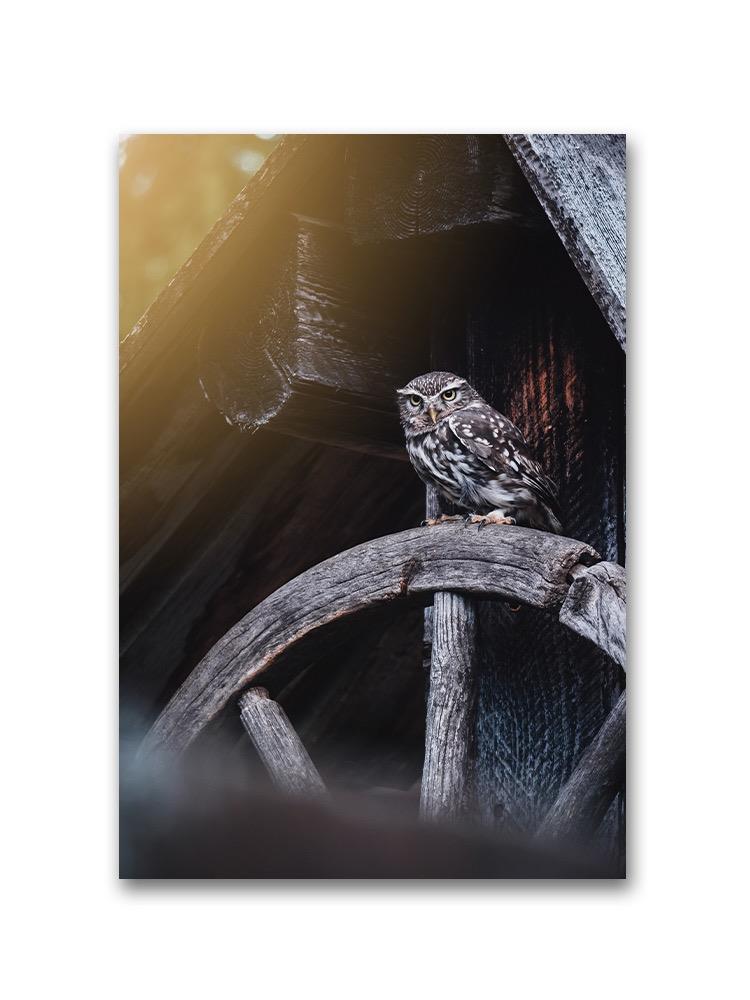 Owl Sitting On A Wooden Wheel Poster -Image by Shutterstock