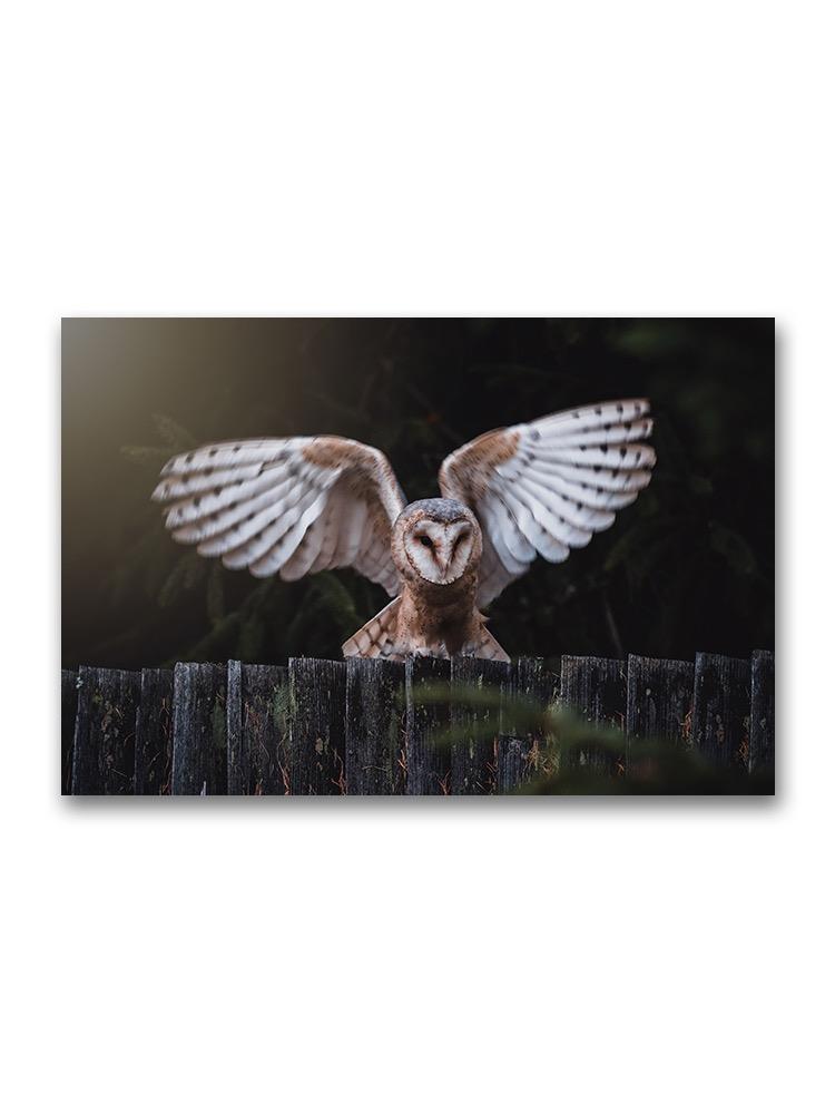 Owl Landing On Wooden Roof Poster -Image by Shutterstock