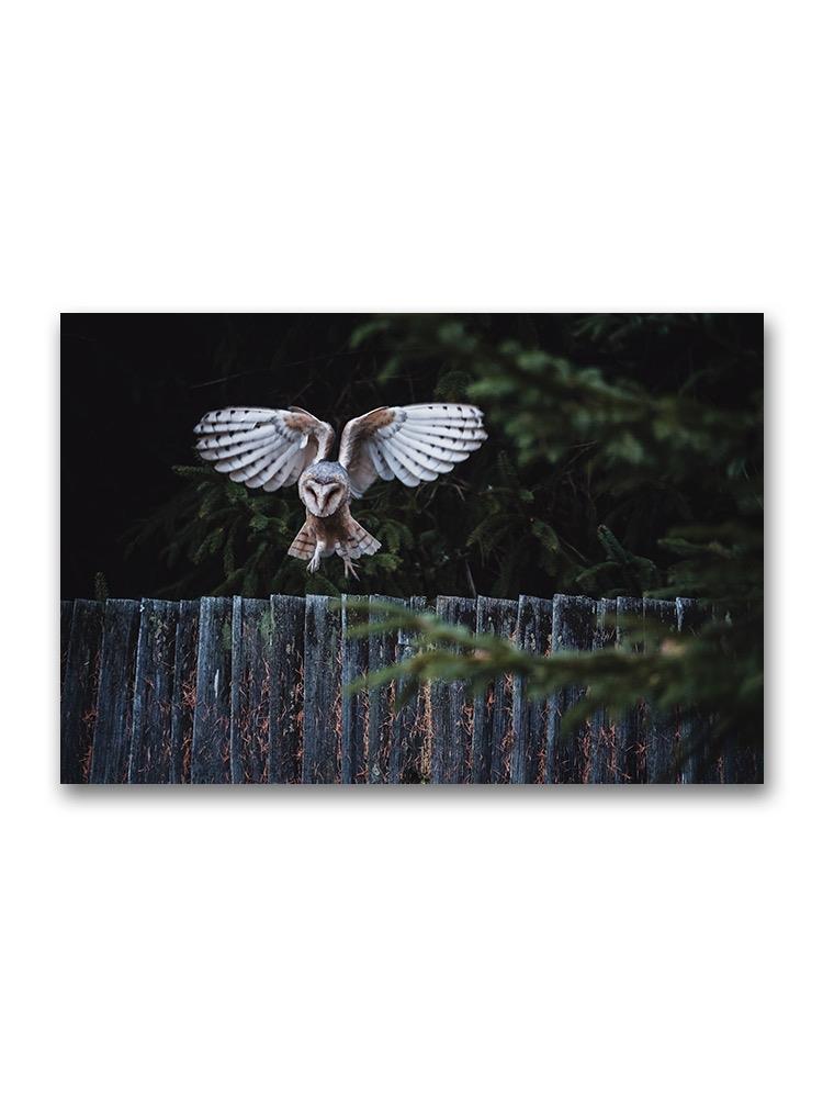 Owl Lading On Fence Poster -Image by Shutterstock