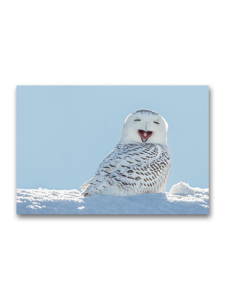 Snowy Owl Yawning Poster -Image by Shutterstock