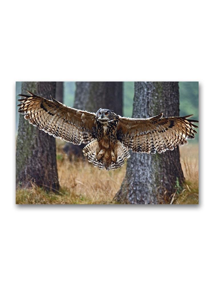 Flying Eurasian Eagle Owl Poster -Image by Shutterstock
