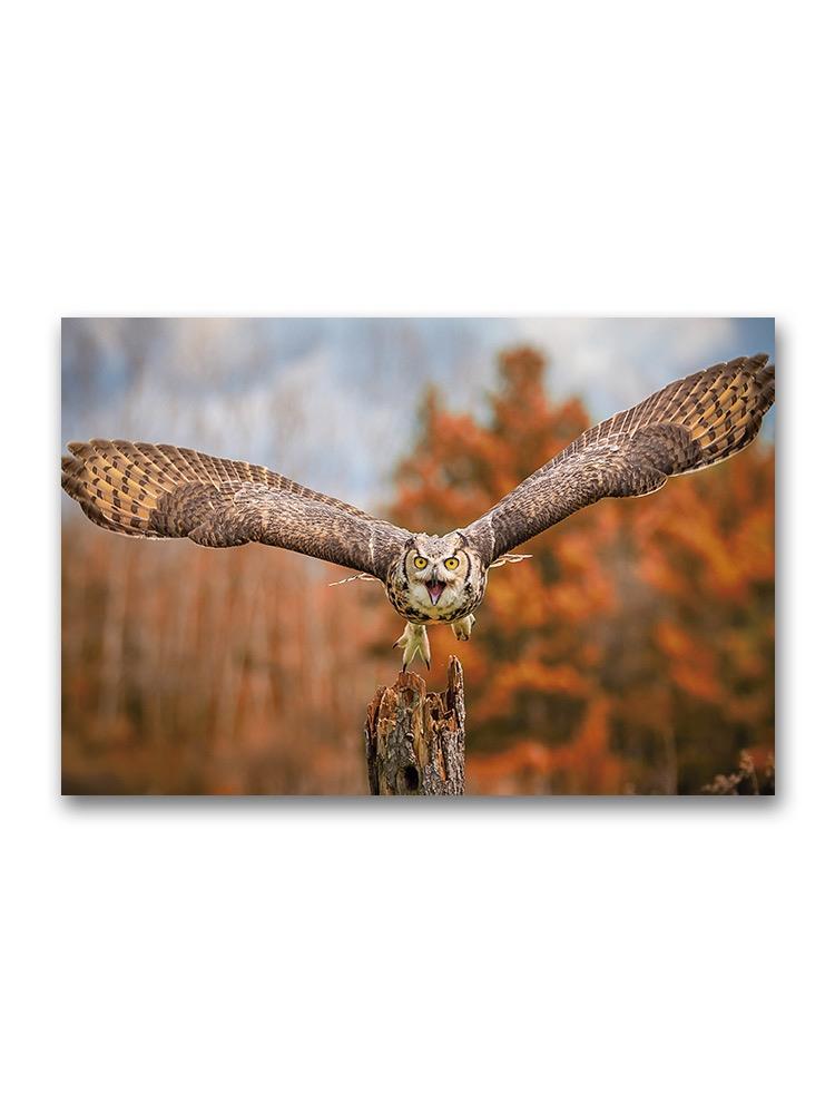 Flying Grey Horned Owl Poster -Image by Shutterstock