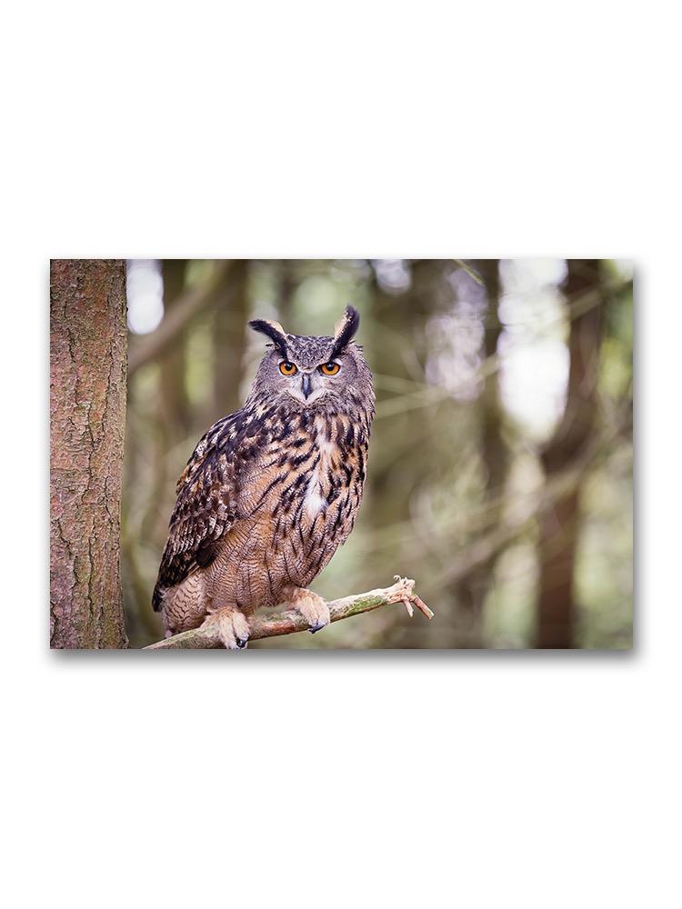 Beautiful Eurasian Eagle-owl Poster -Image by Shutterstock